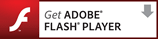 Adobe Flash Player̃CXg[